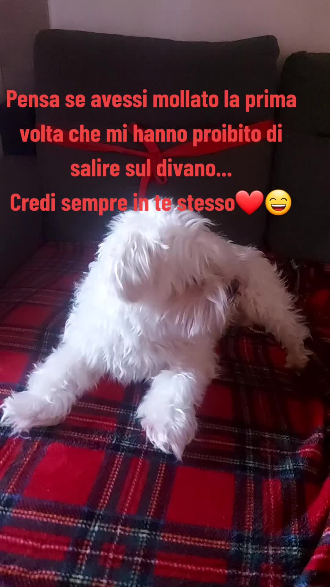 @la famiglia di Francy