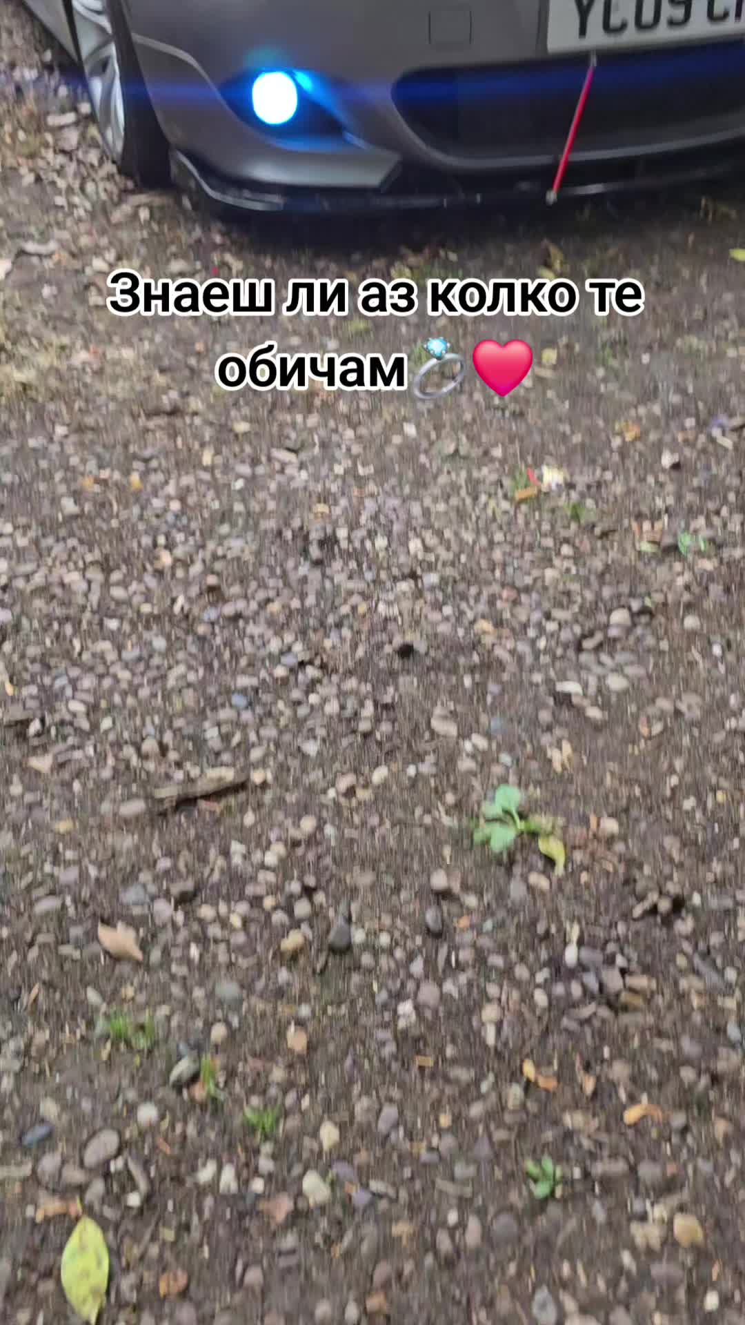 @⚡️🦁Георги🦁⚡️
