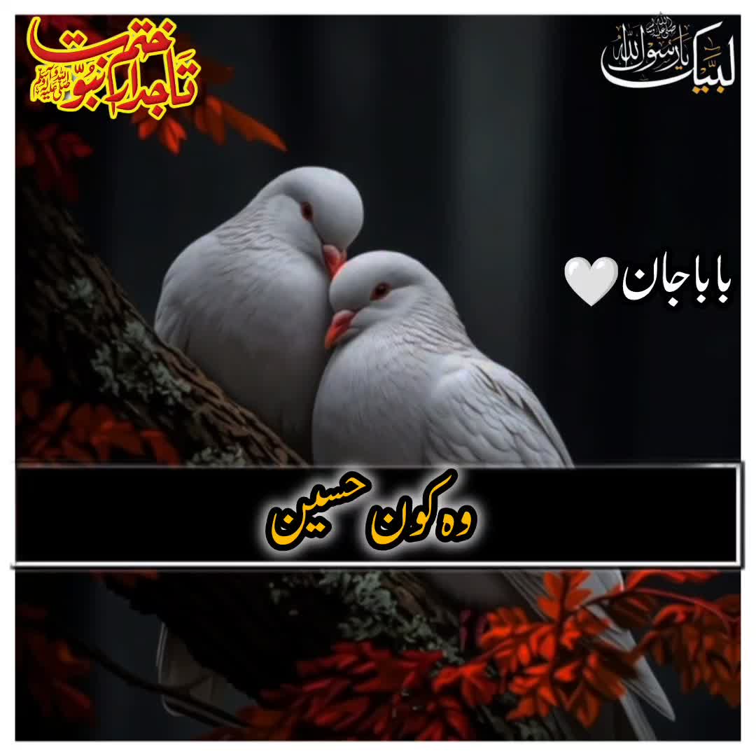 @☝️⭐༄گمنام مجاھد༄⭐💫