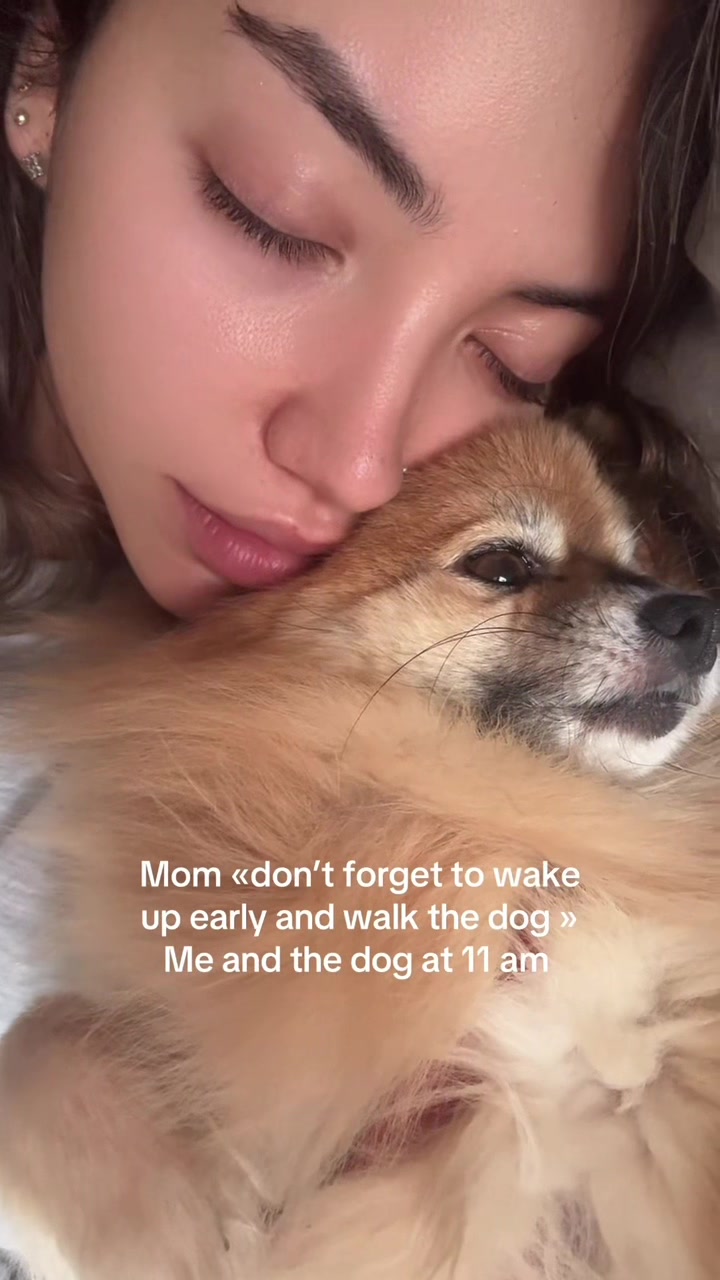 @Salmachebil