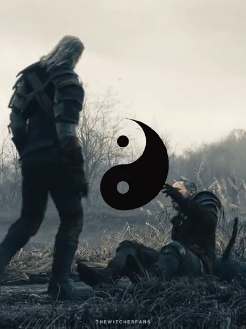 @The Witcher