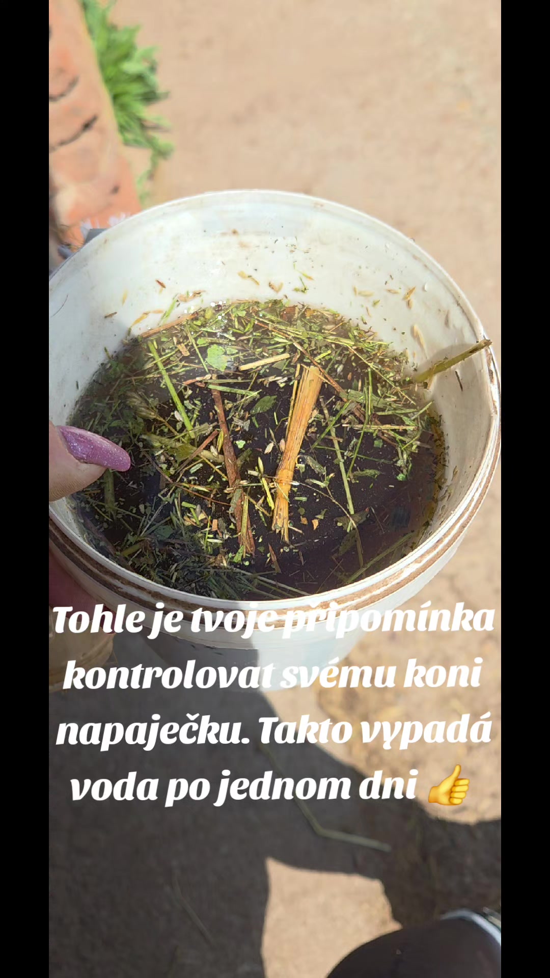 @Koňomama🩷🐴