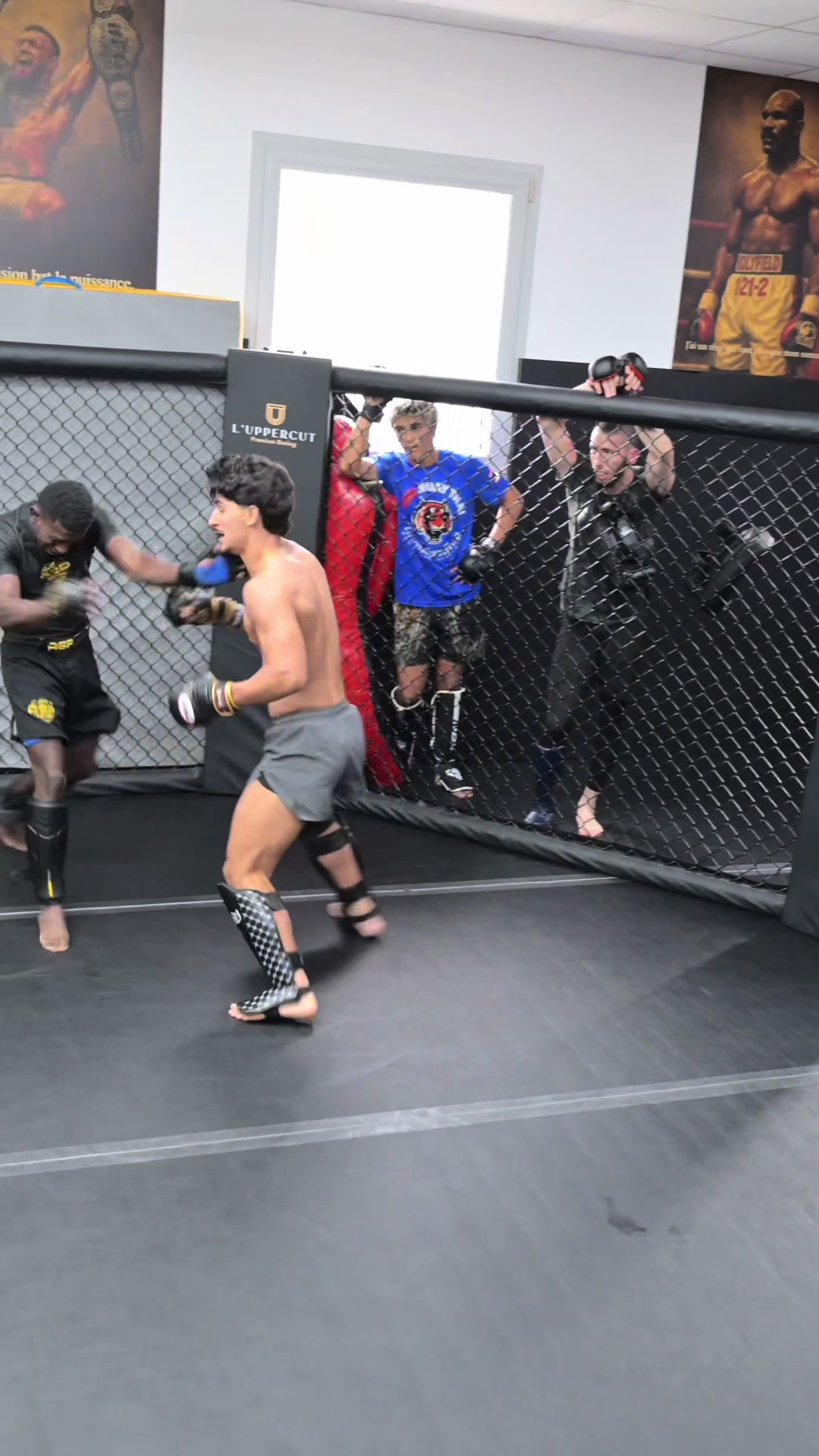 @orlandomma