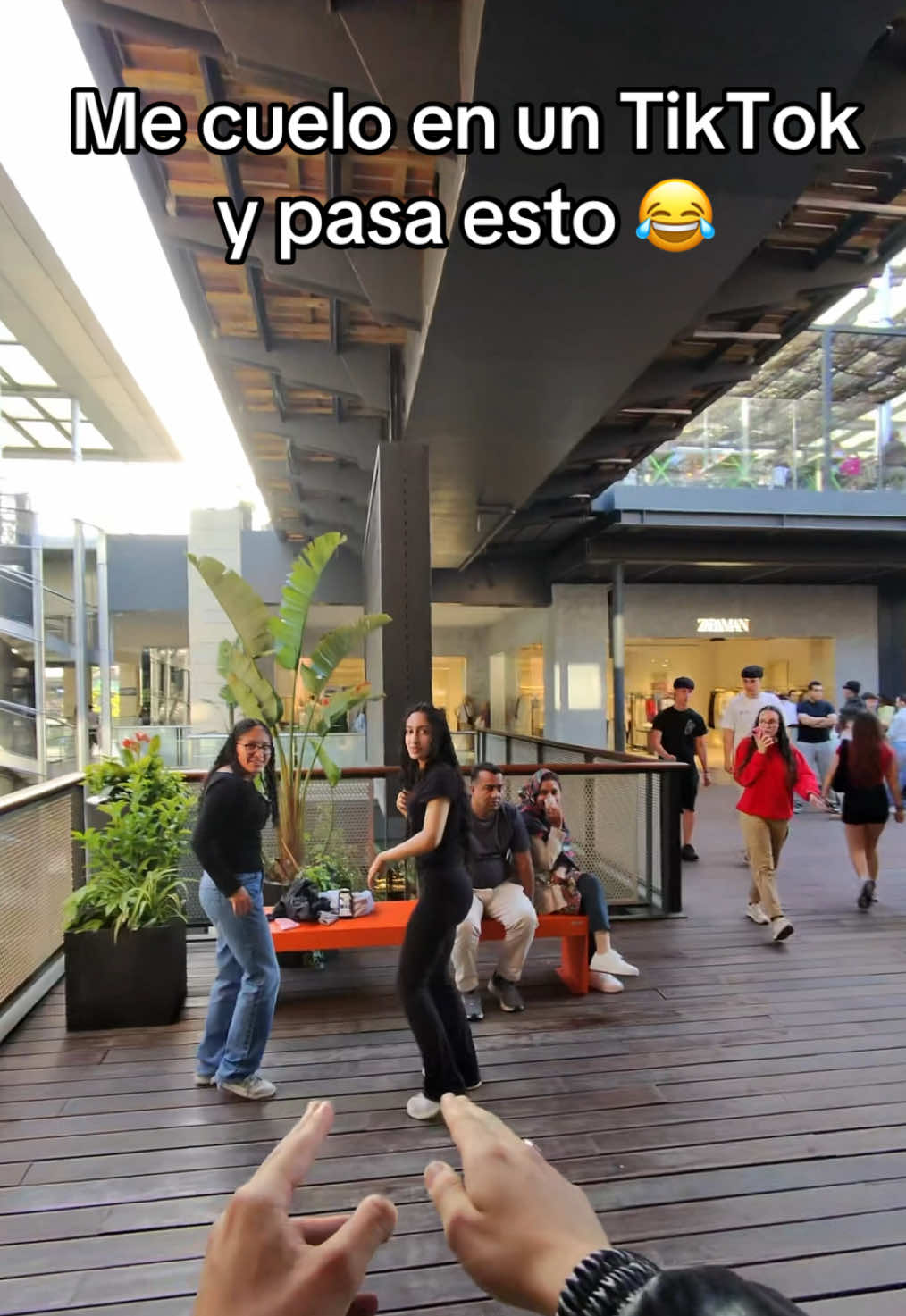 @leonardomisha