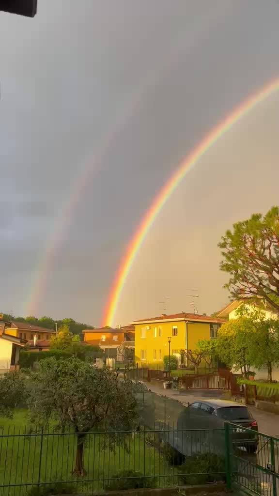 @rinopolloni