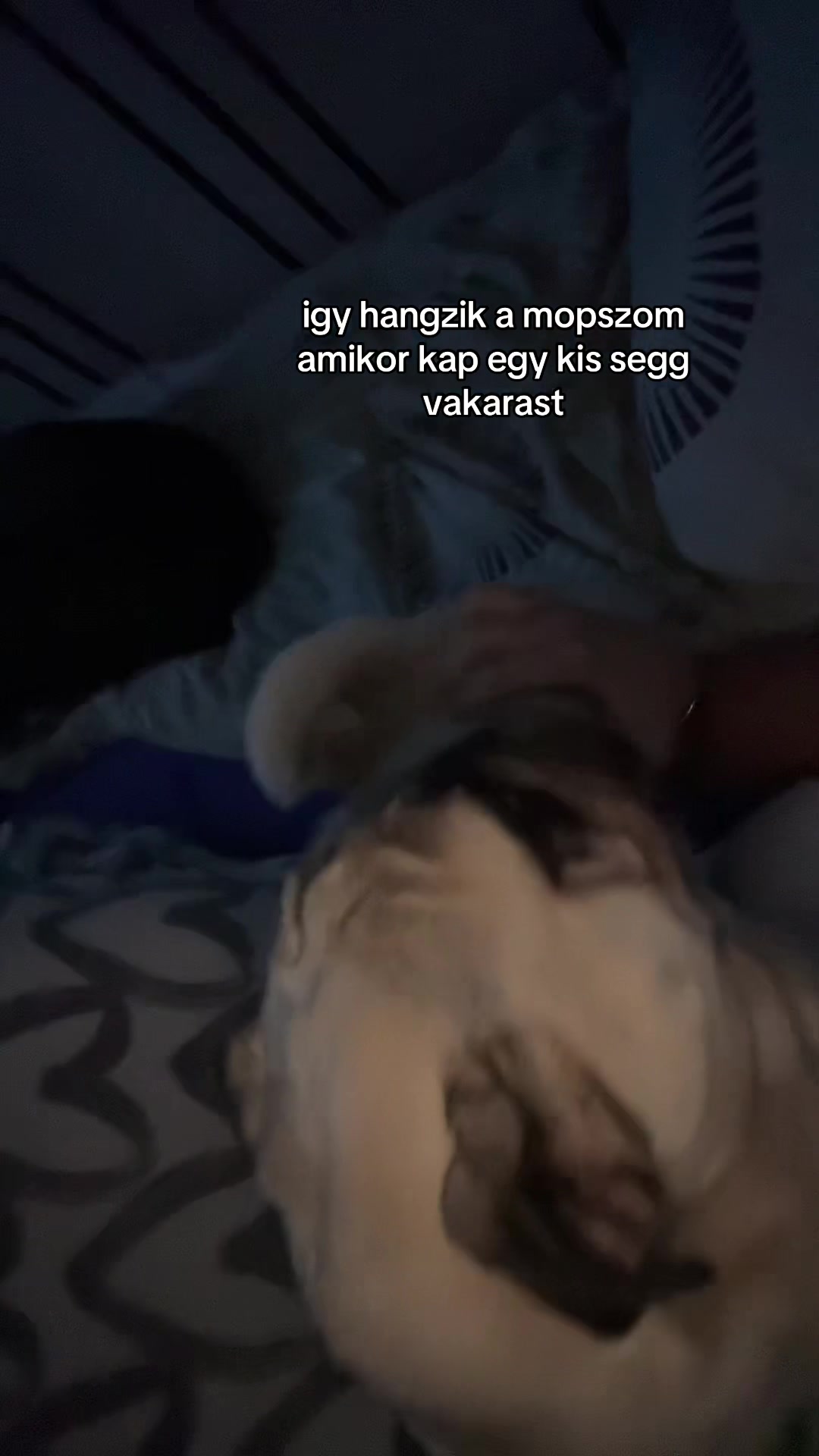@Vikih