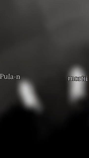 @🤣JUPÂNU🤣 COMEDY🤣