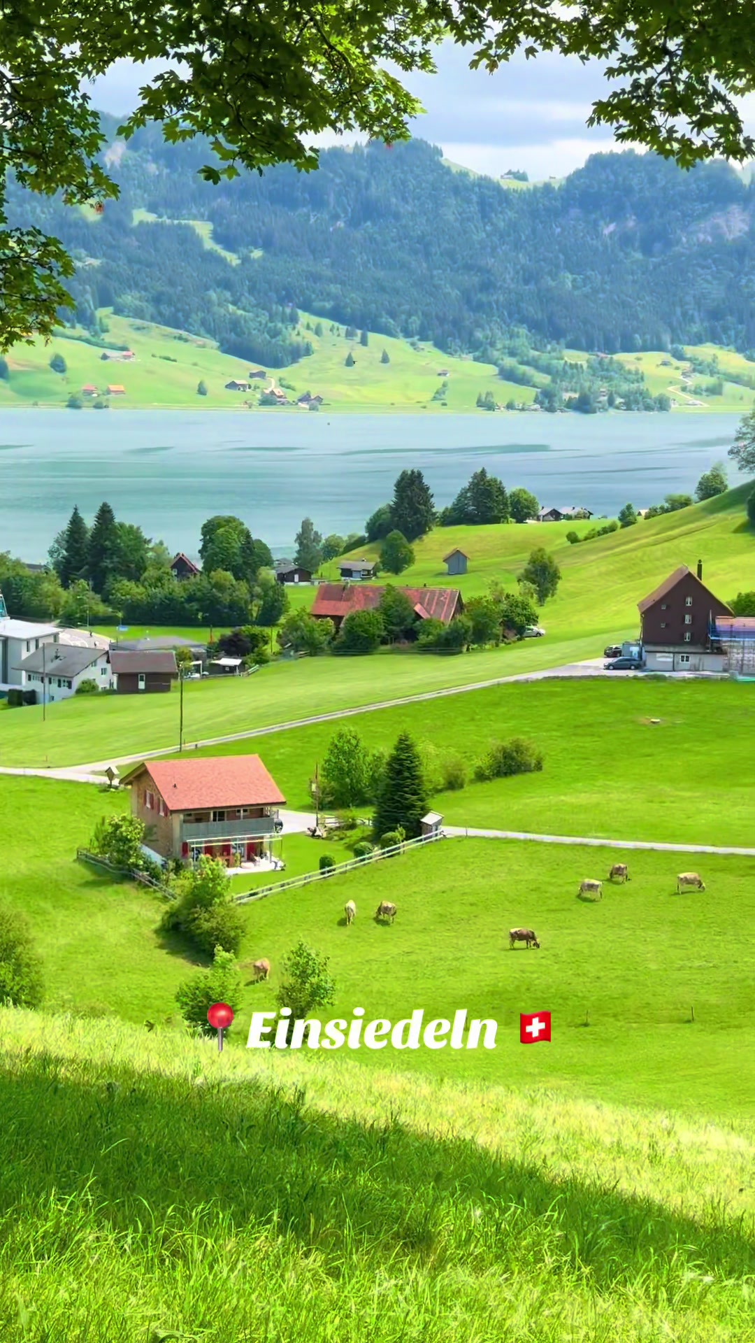 @swiss_alps