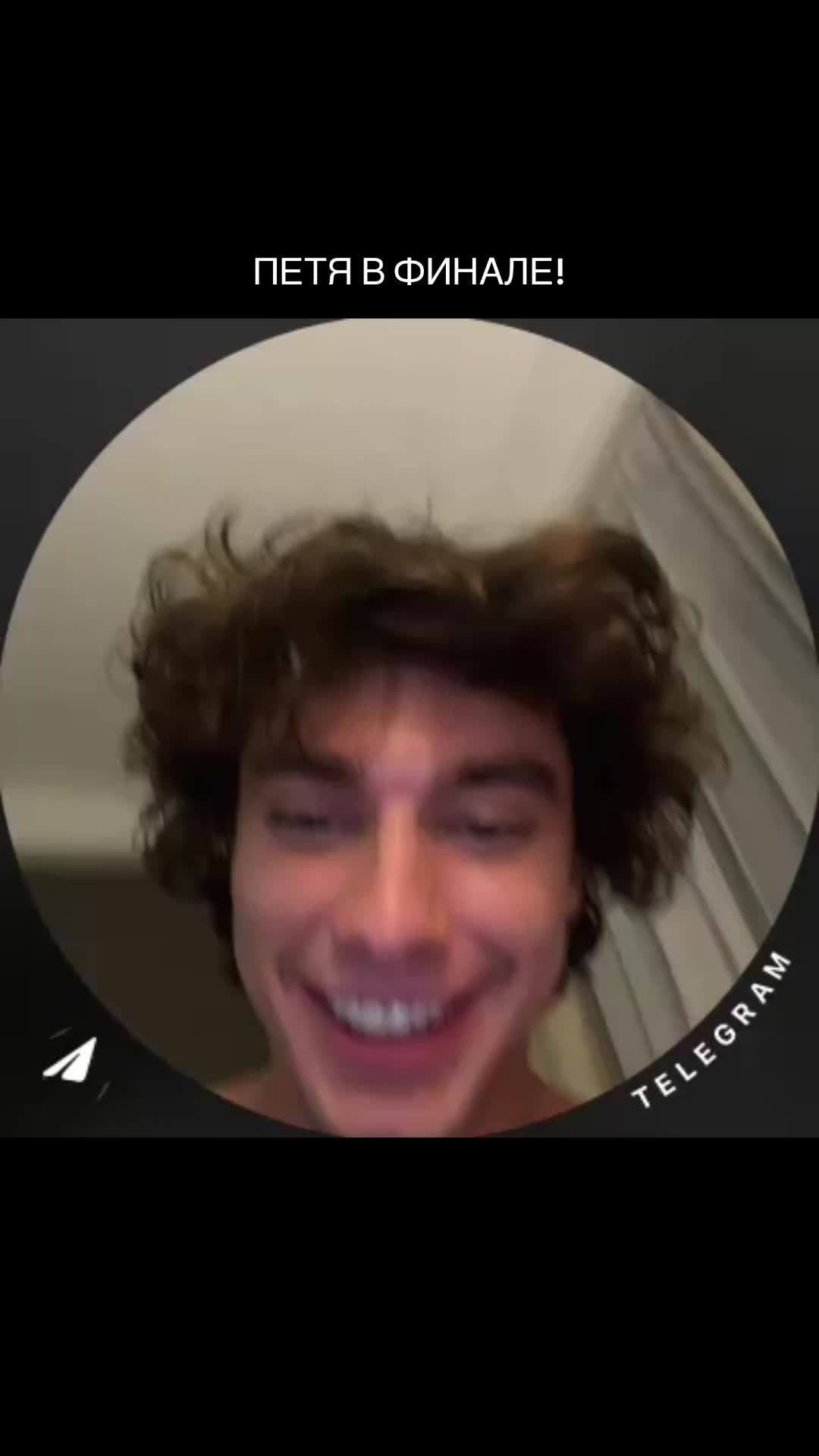 @puppy38