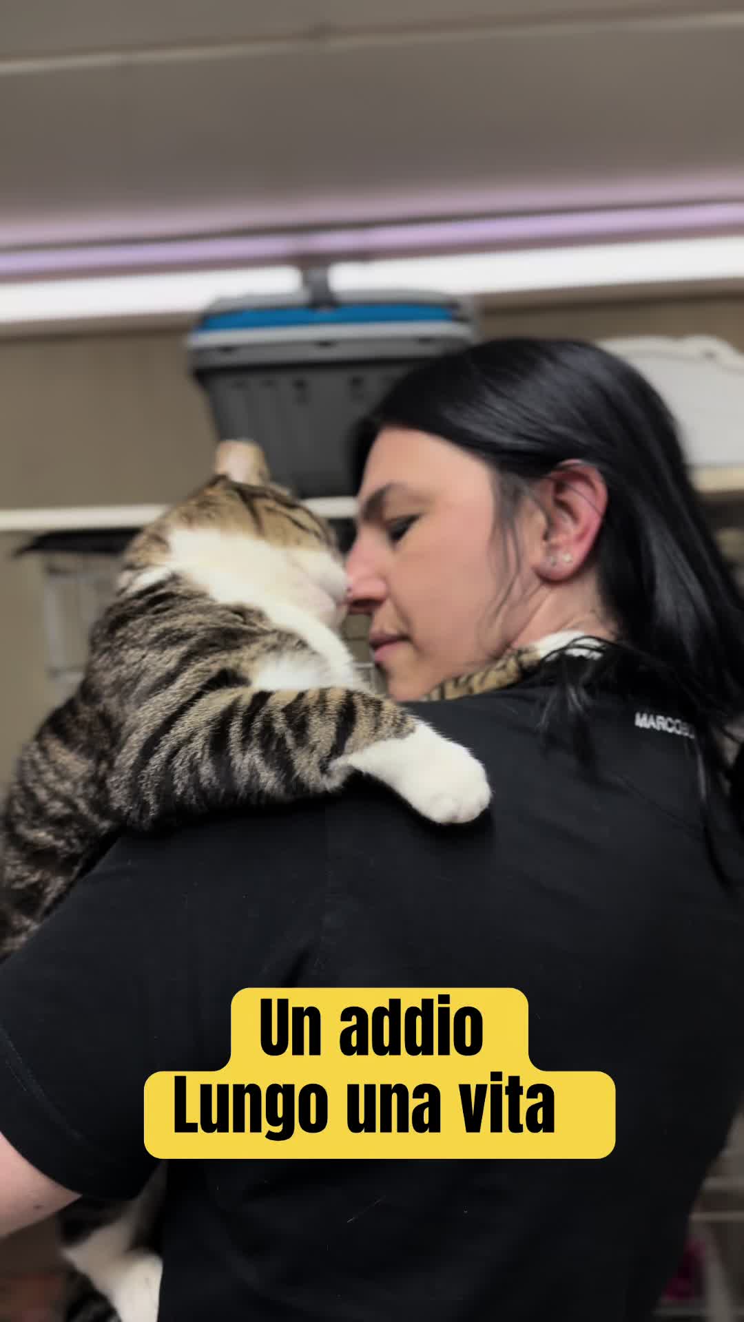 @Solo per amor loro 🐾🐾🐾🐾