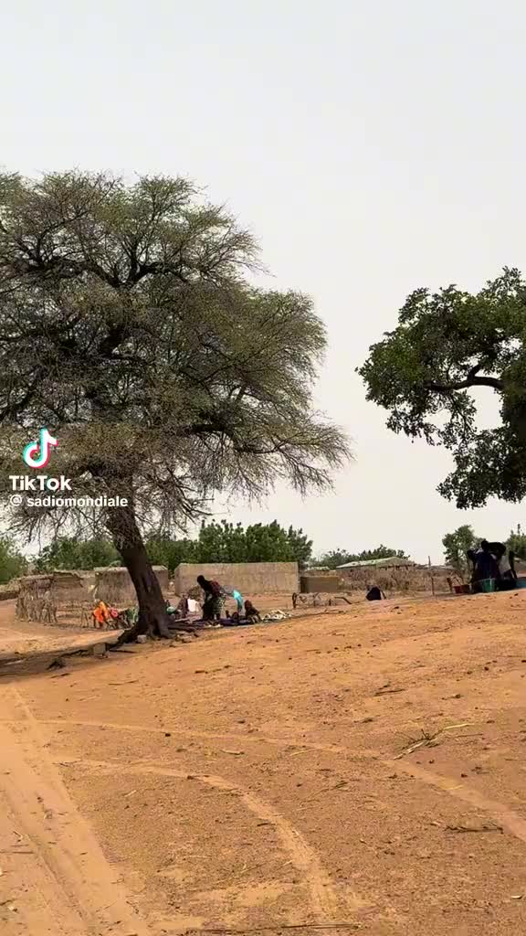 @makalou koita