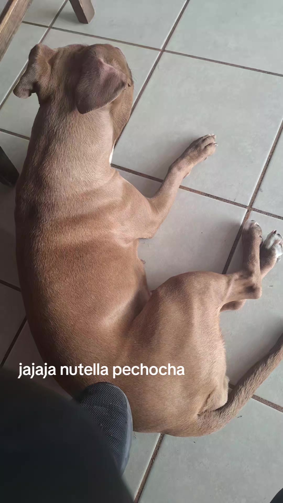 @Petite@gmail.com