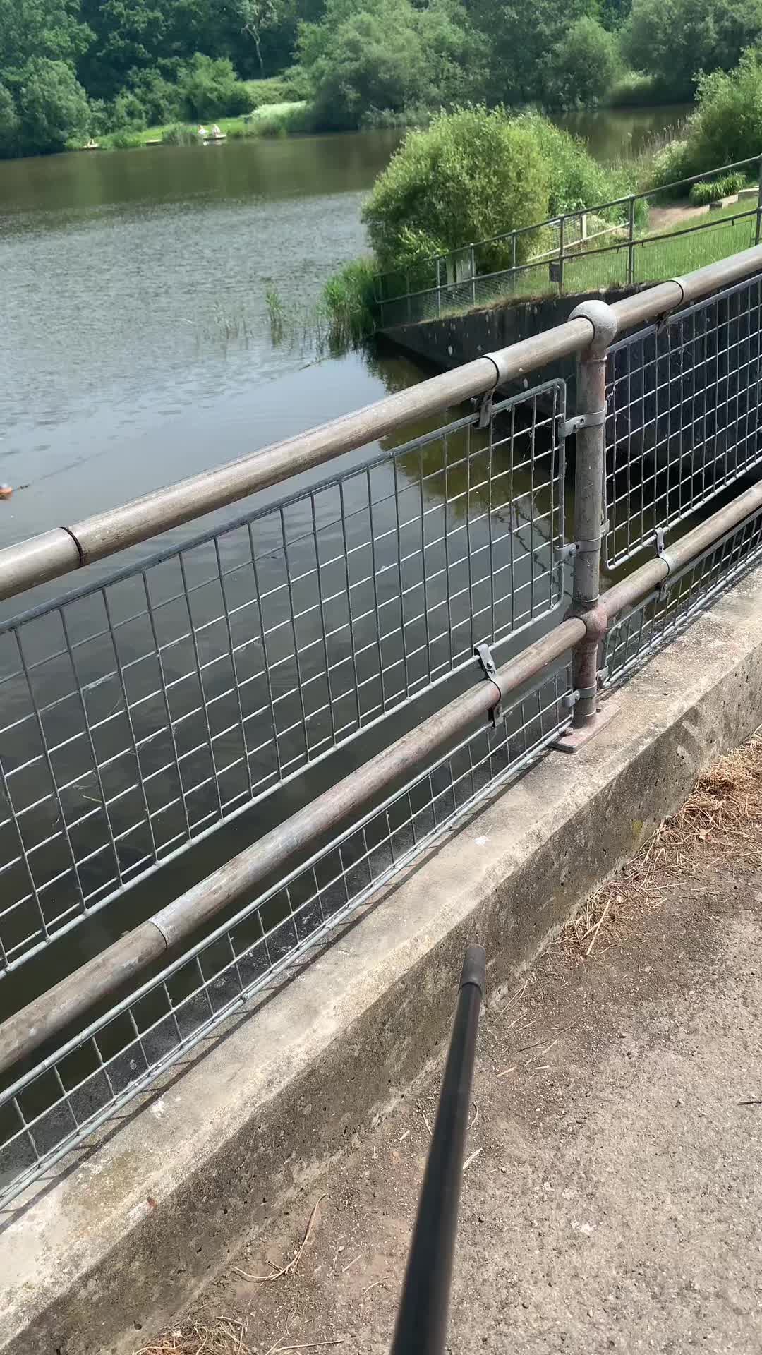 @Franks fishing adventures