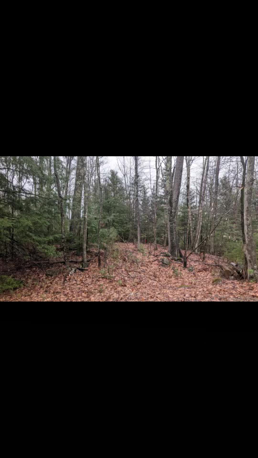 @LucasCottage
