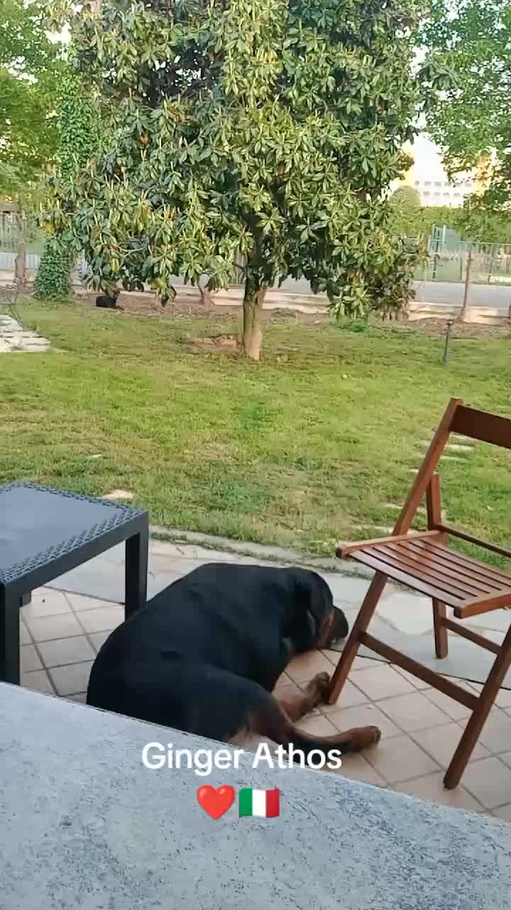@Ricky