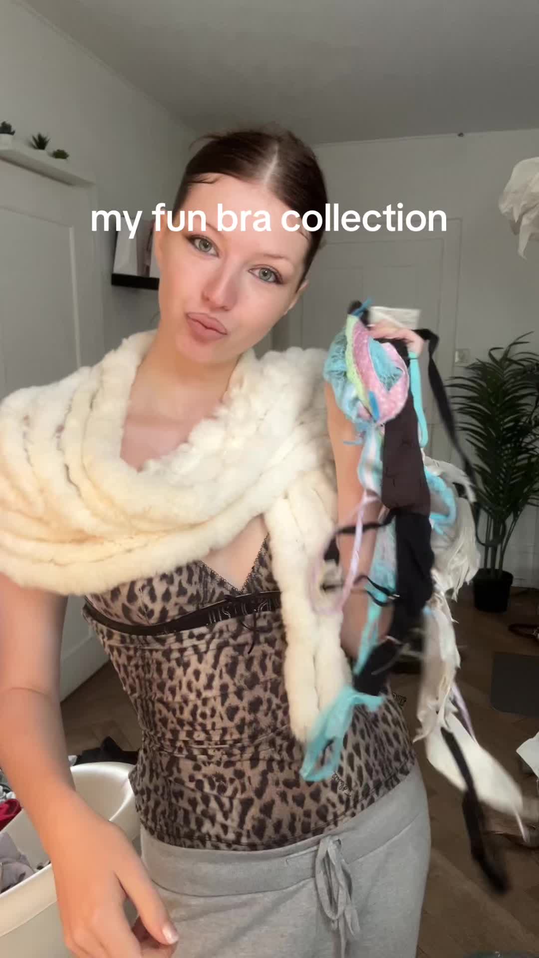@llucicull