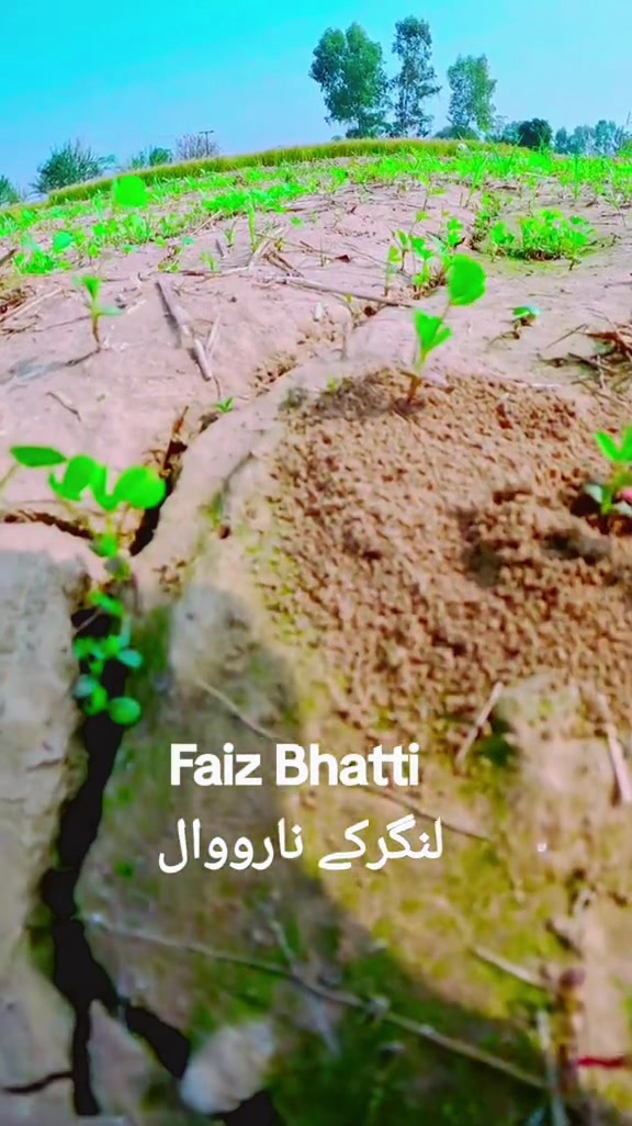 @faizbhatti1120