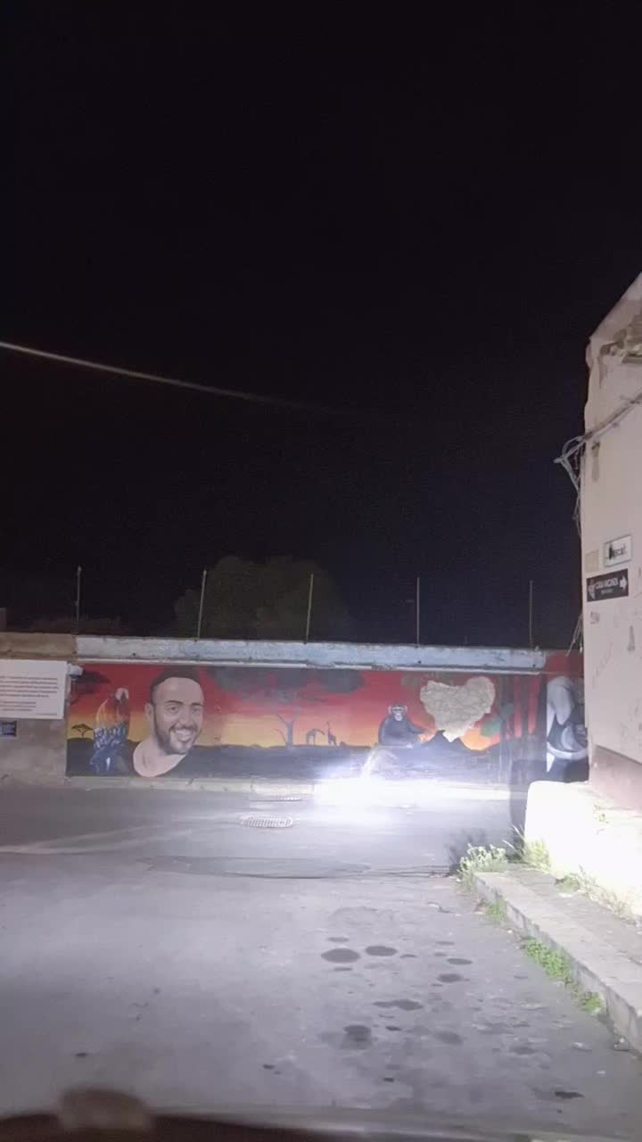 @Angelo Rinzivillo