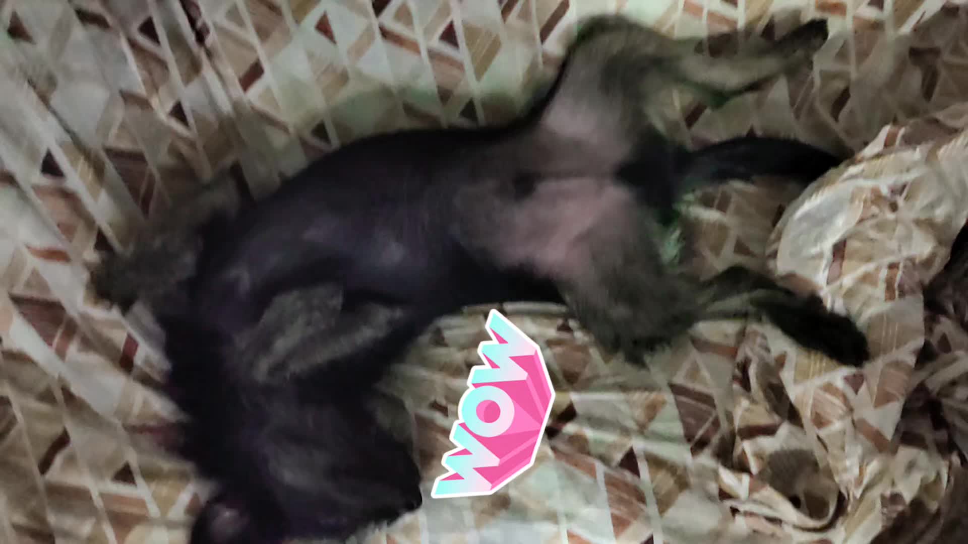 @Silvy2323