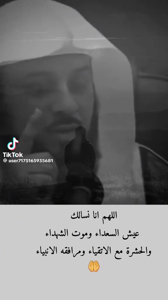 @Adel Mansouri