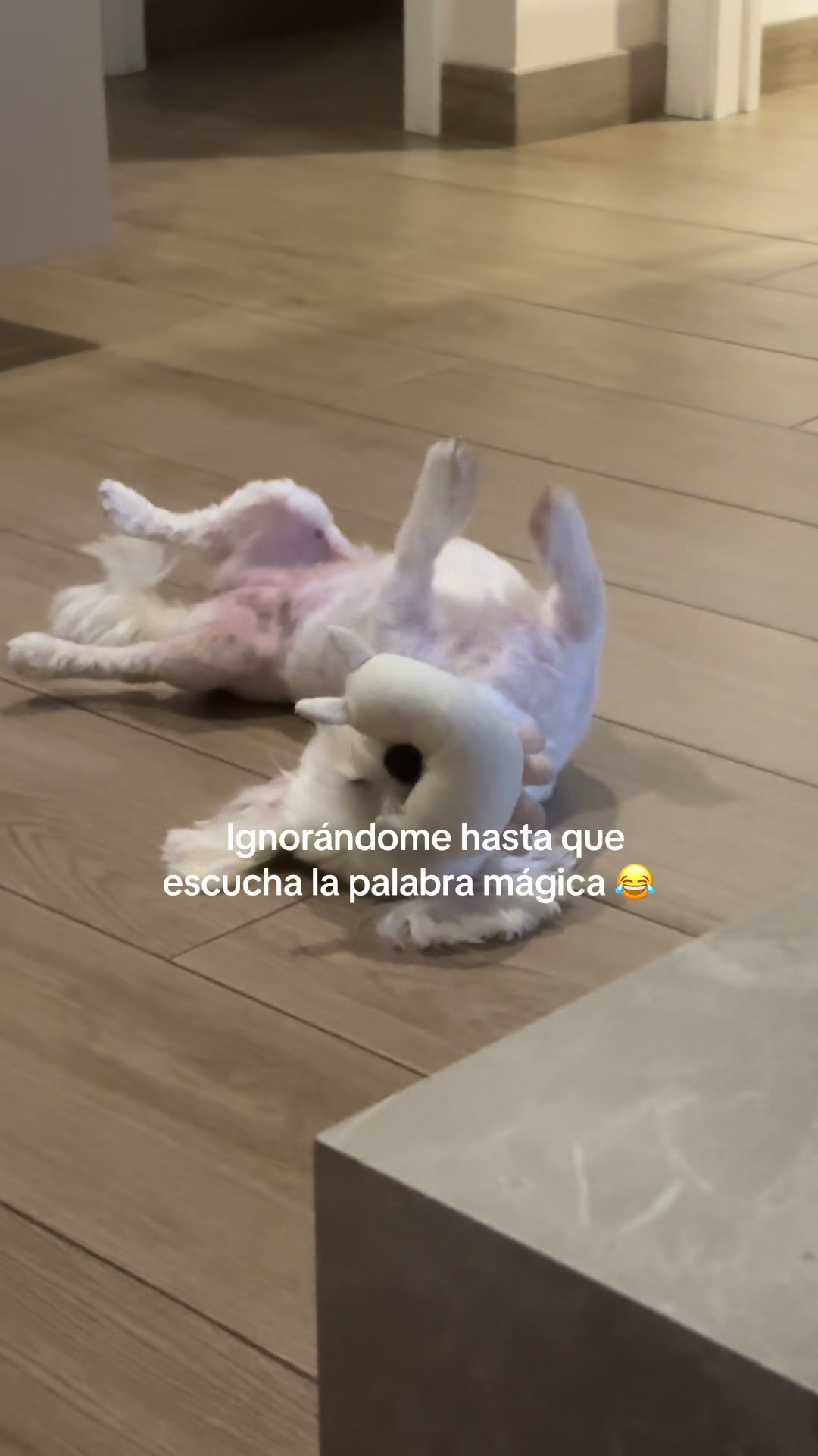 @Claudia