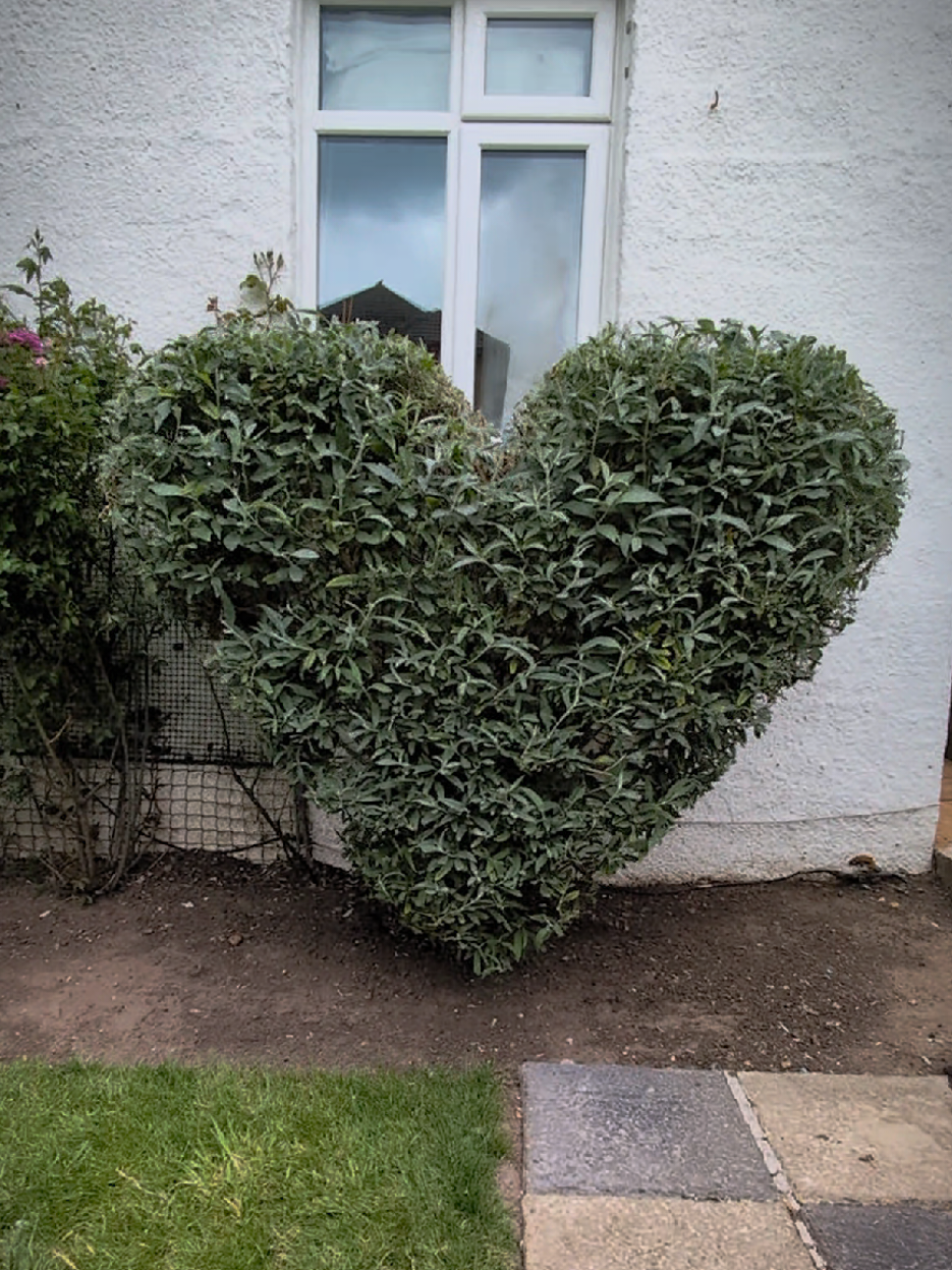 @Gary Hall Garden Services