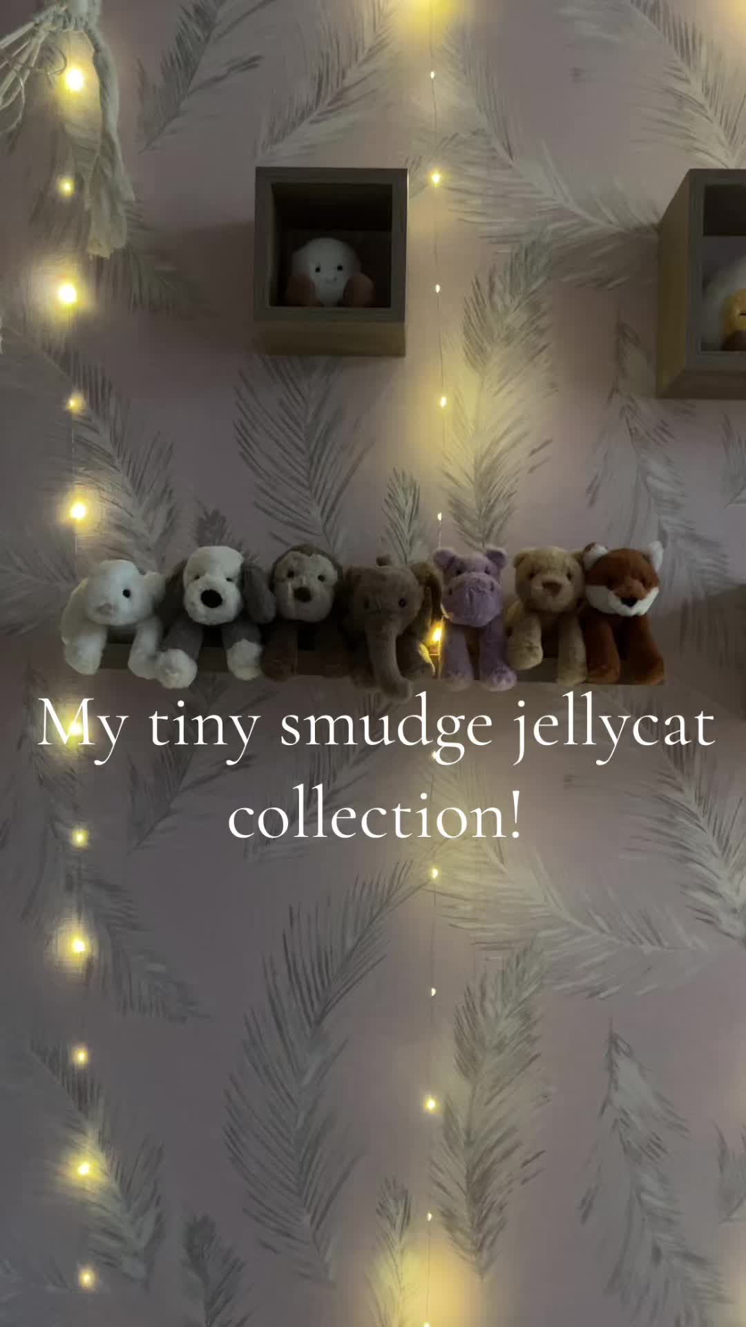@collectwithchloe