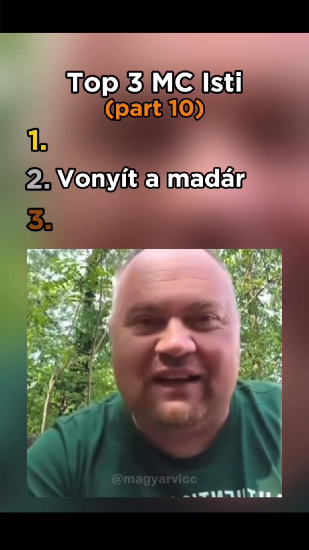 @magyarvicc