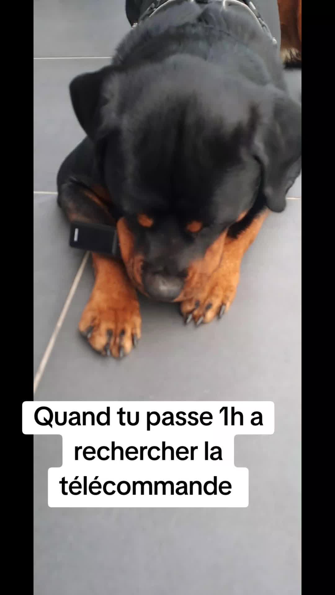 @NALA