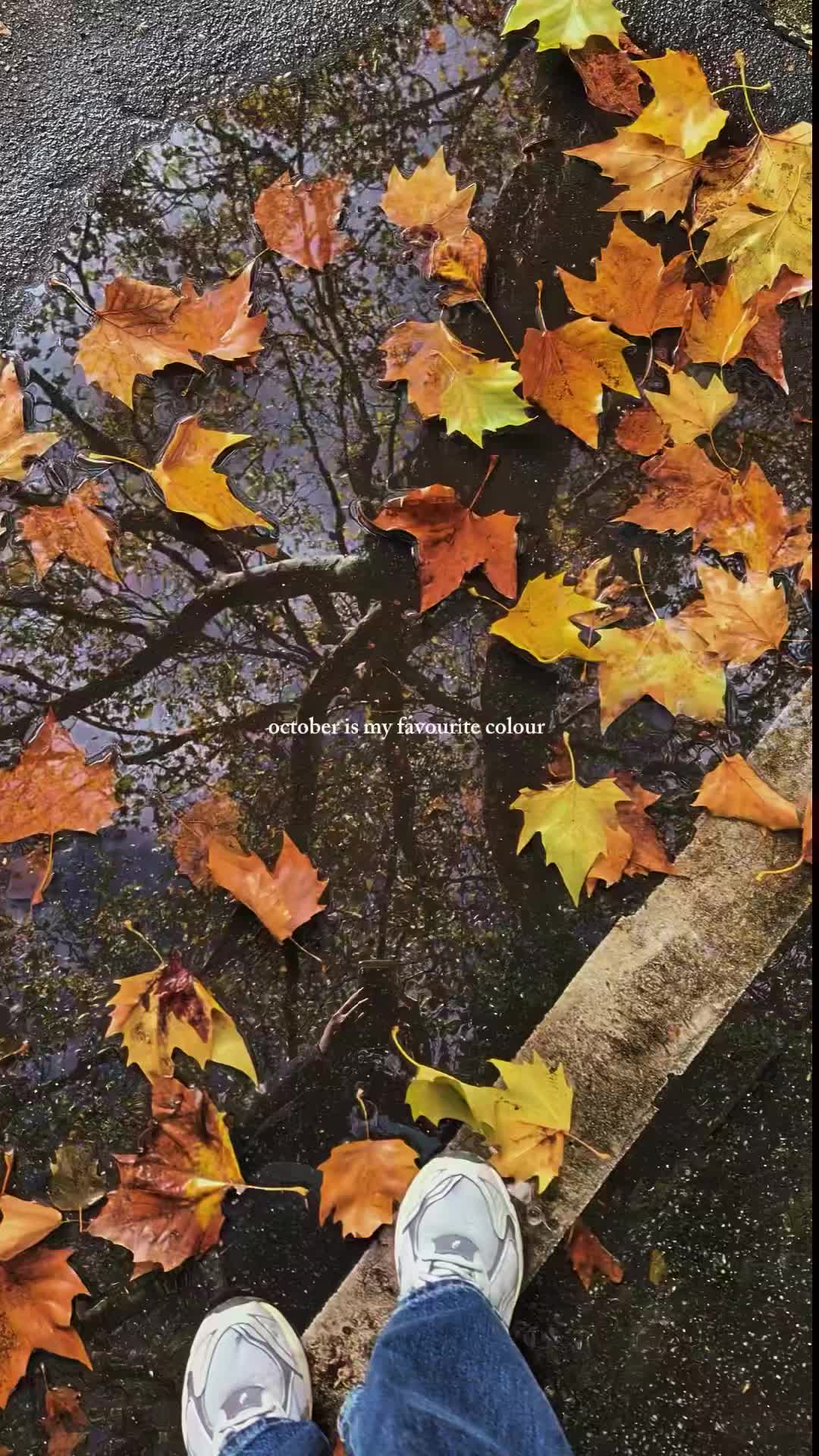 @anni 🌧️