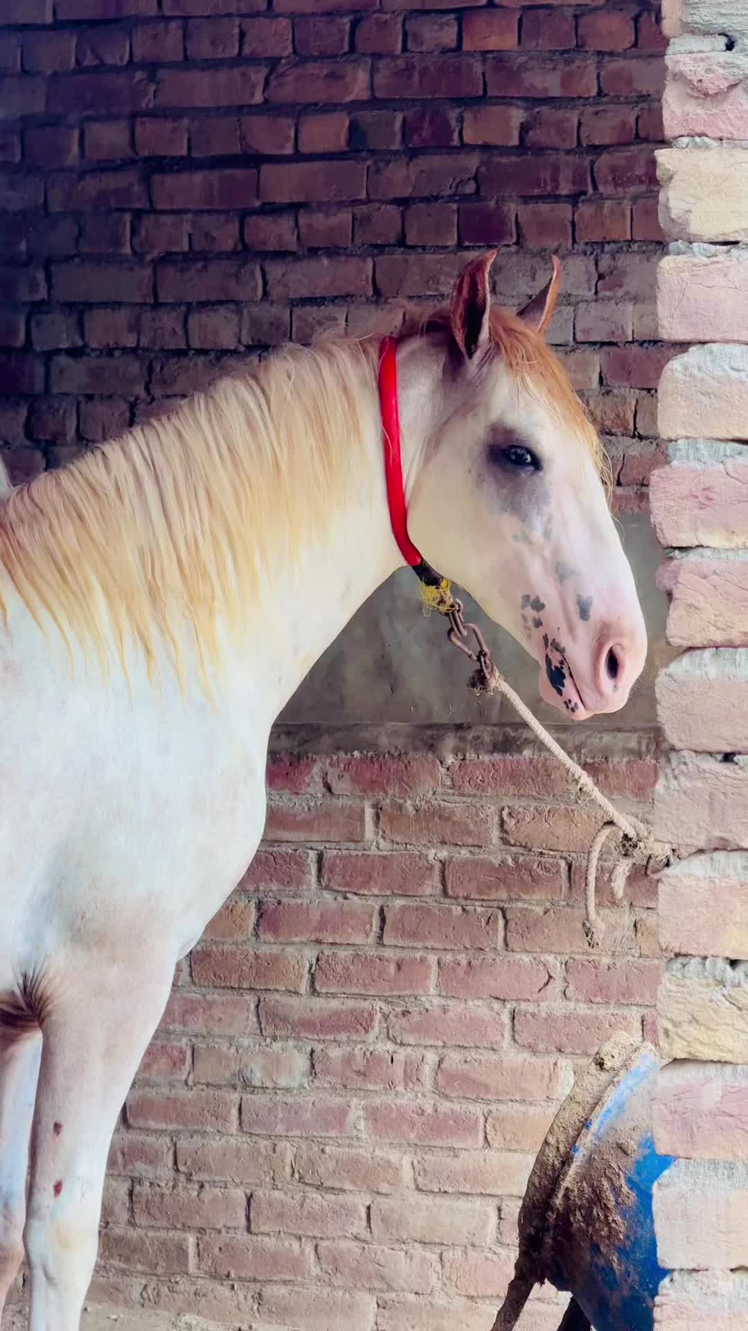 @Rana Talha