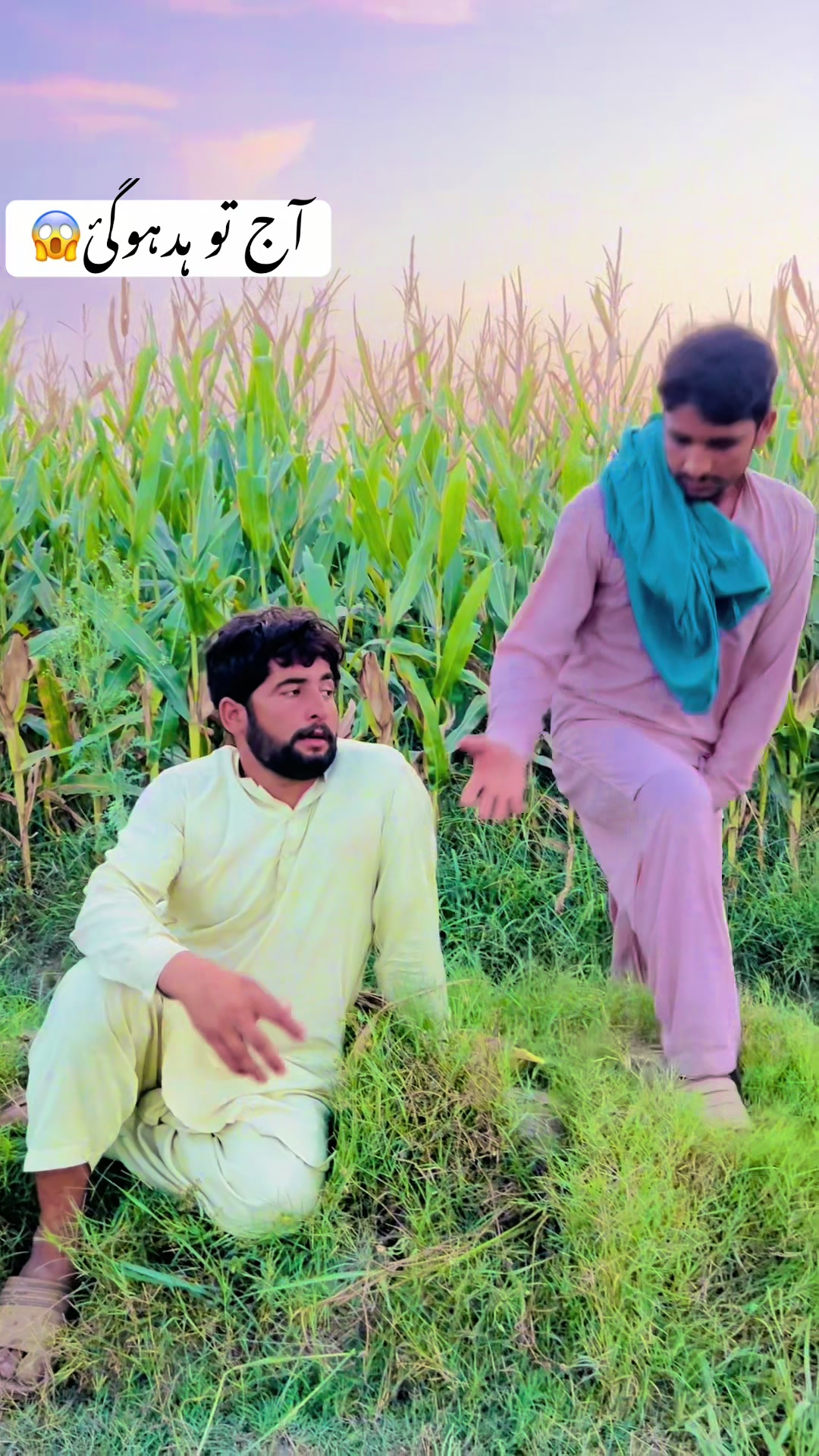 @پینڈو بوائز 378