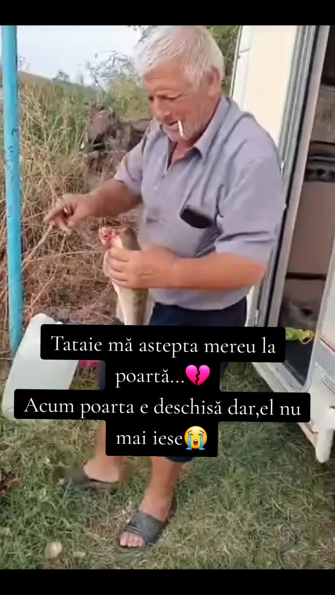 @Mary