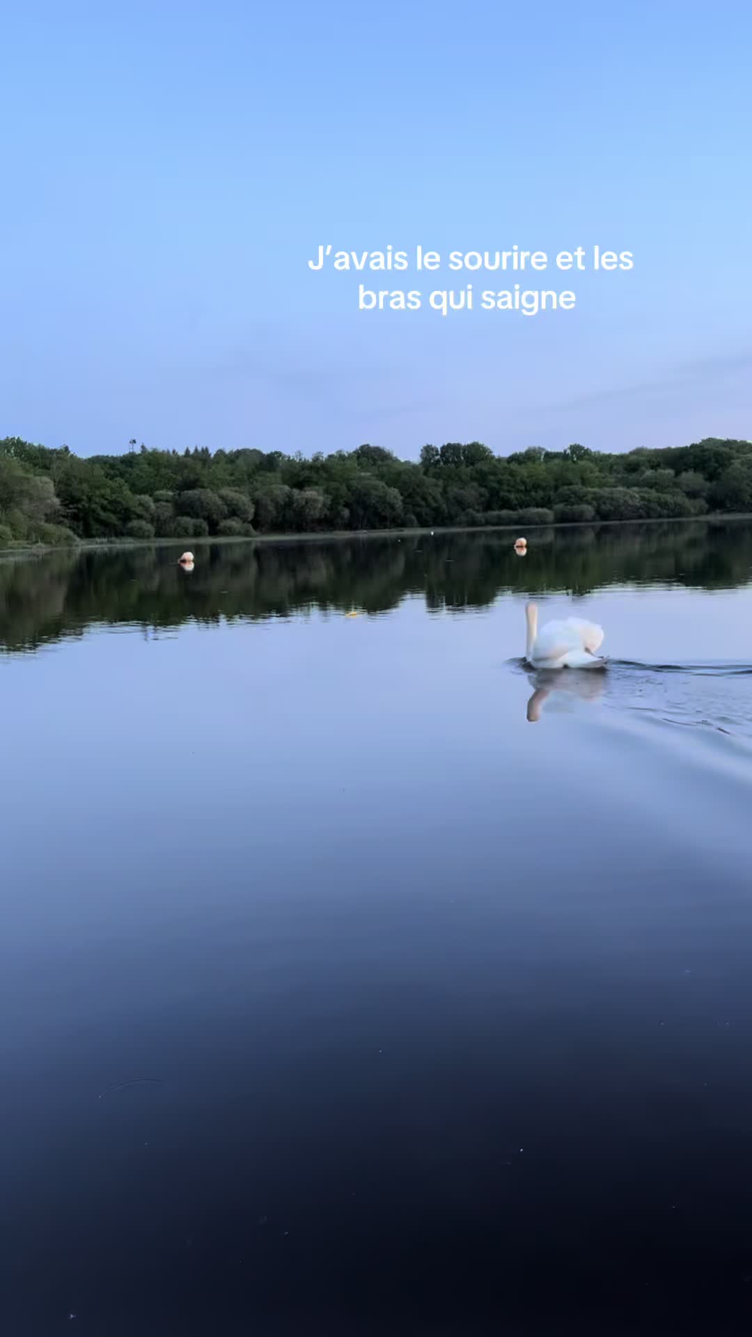 @🪩🪩