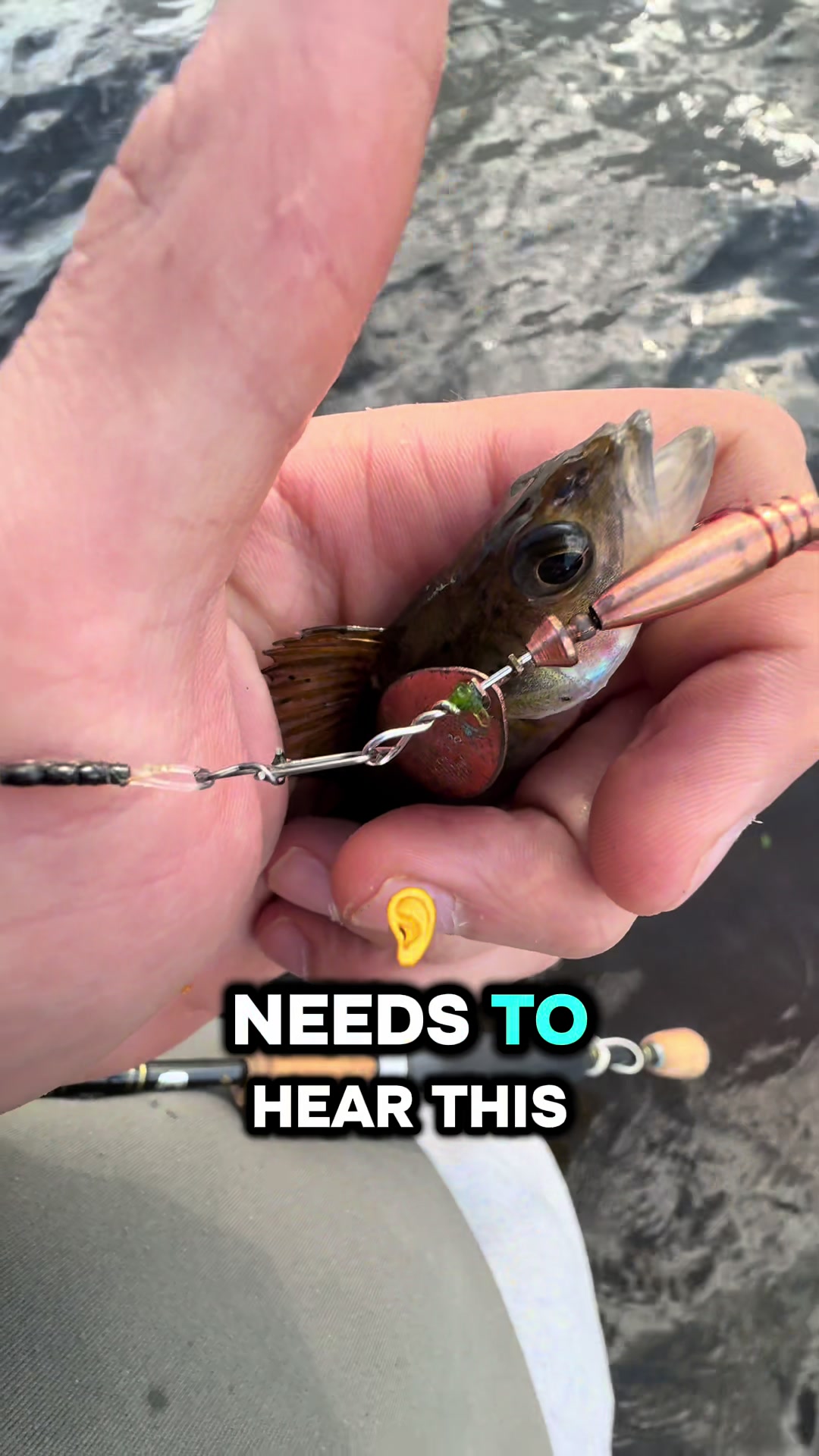 @Fishing With Alekss 🎣💎
