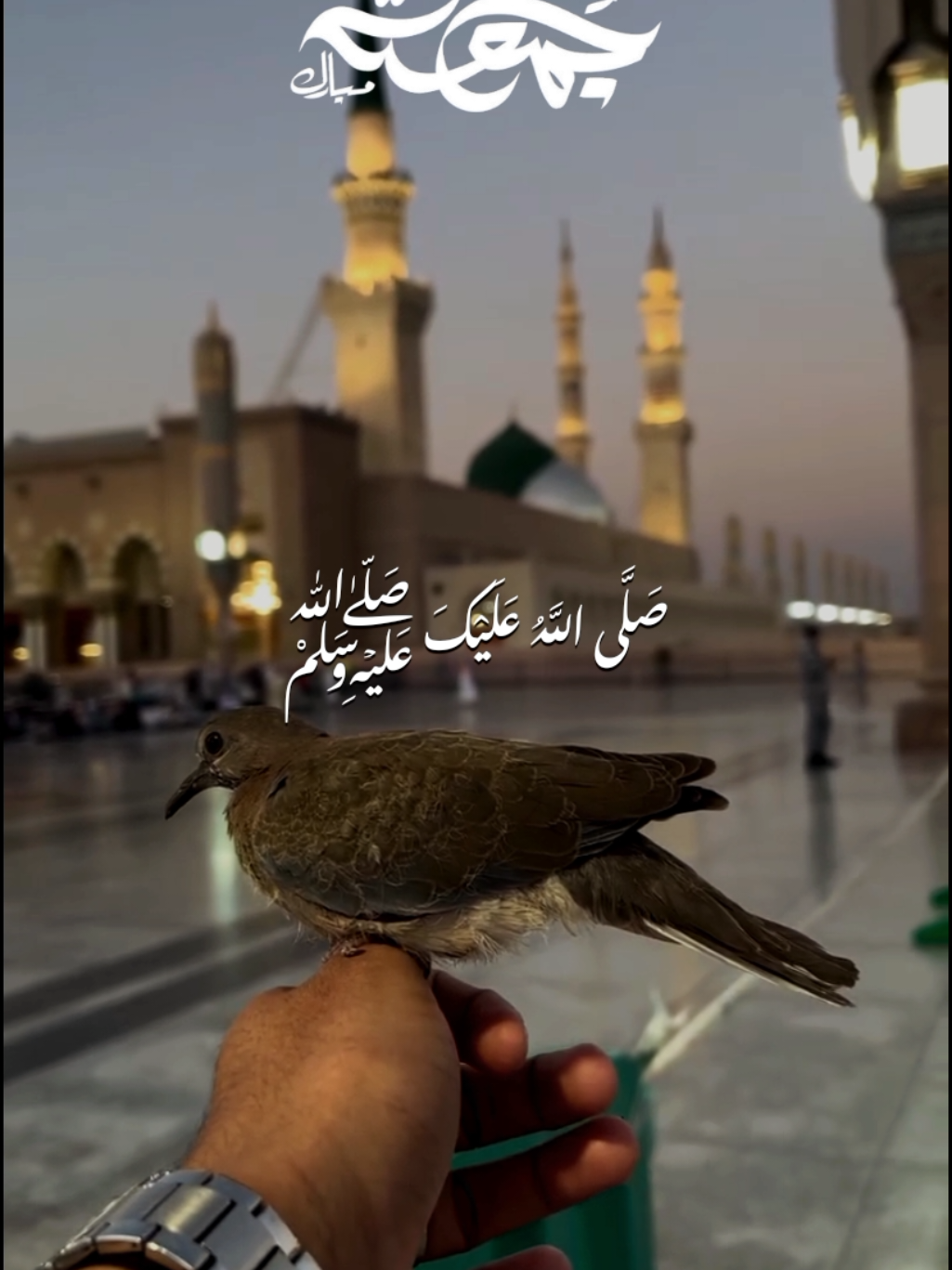@𝙈𝘼𝙅𝙄𝘿 𝙒𝙍𝙄𝙏𝙀𝙎 ✨