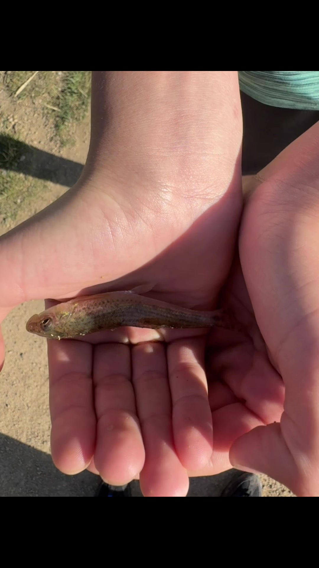 @JG