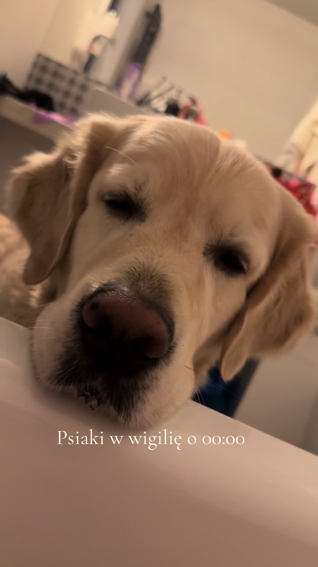 @Martyś 🥳