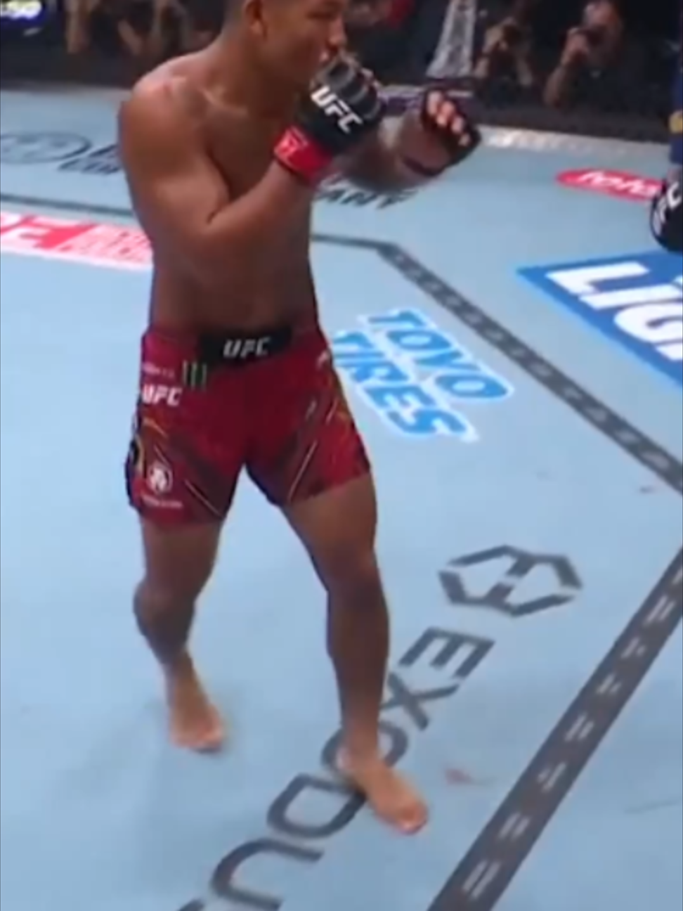 @TNT Fight Sports