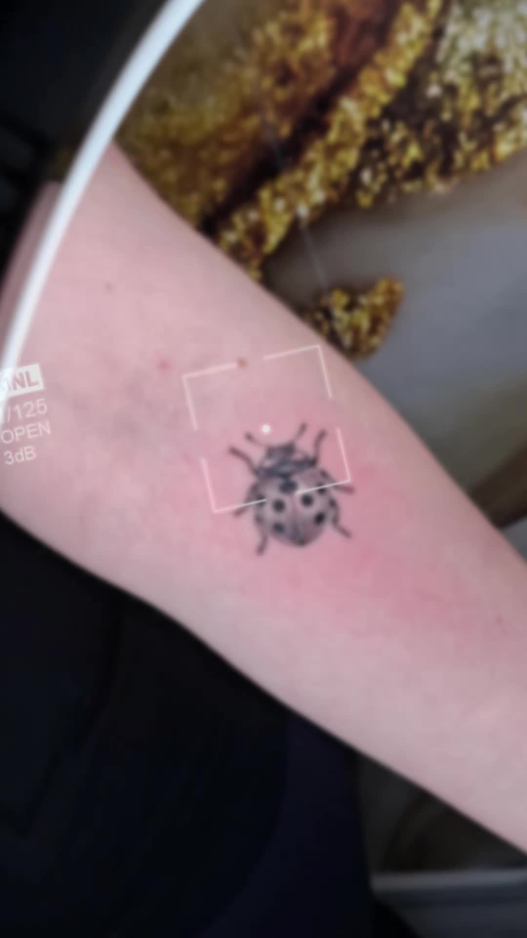 @robi.inktattoo