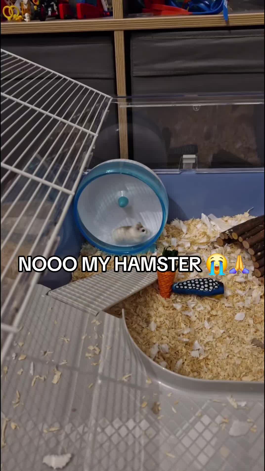 @WDYMGUY