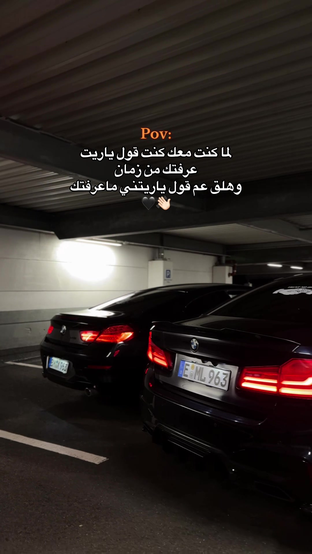 @Mohammad Allaf 🦅