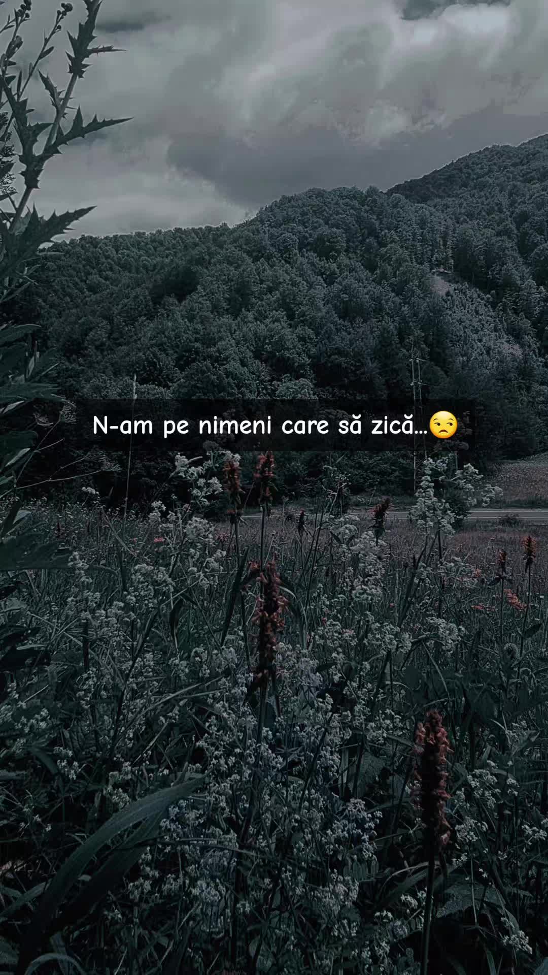 @SufletDistrus