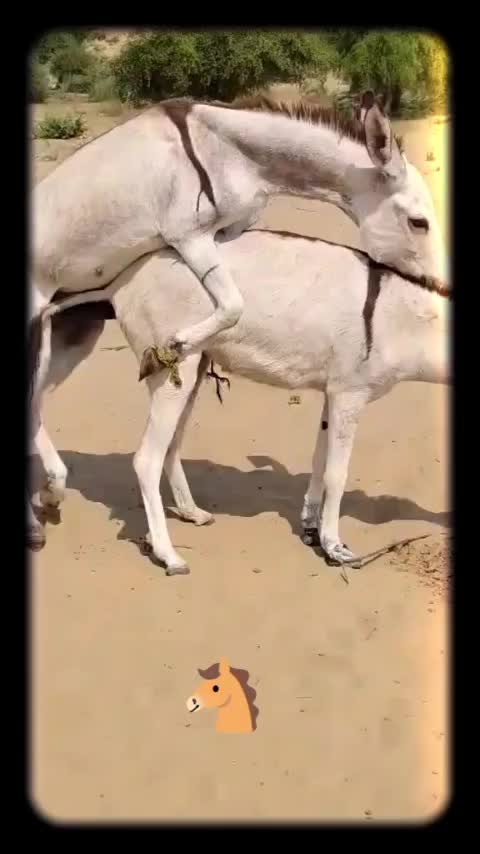 @FunLoveFun1