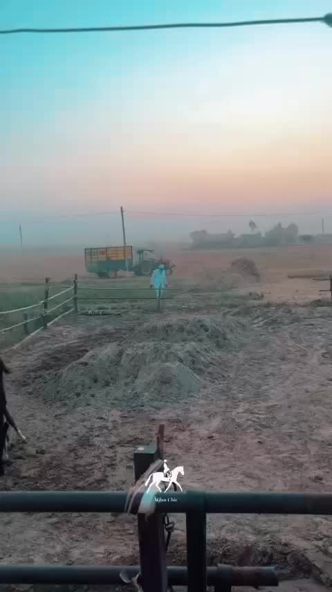 @B² Stud Farm🇮🇳🐎🇨🇦