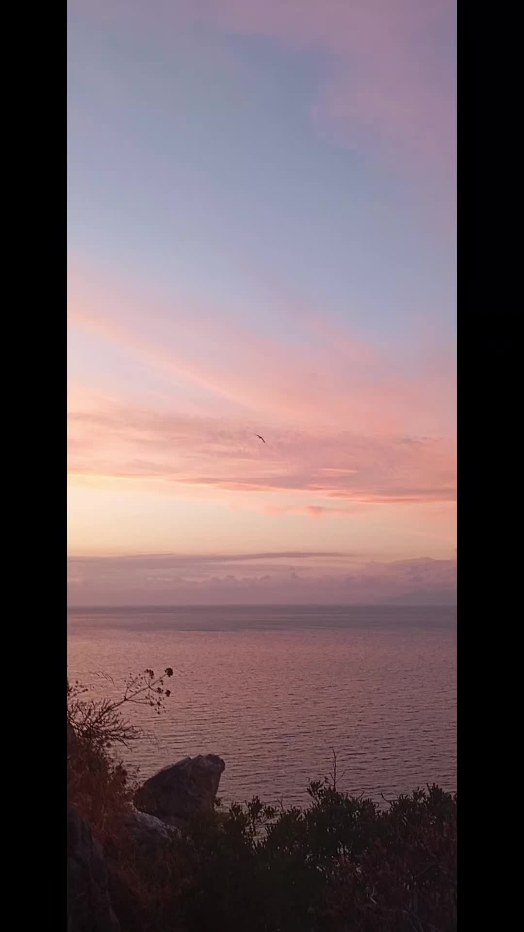 @Tonino Barresi