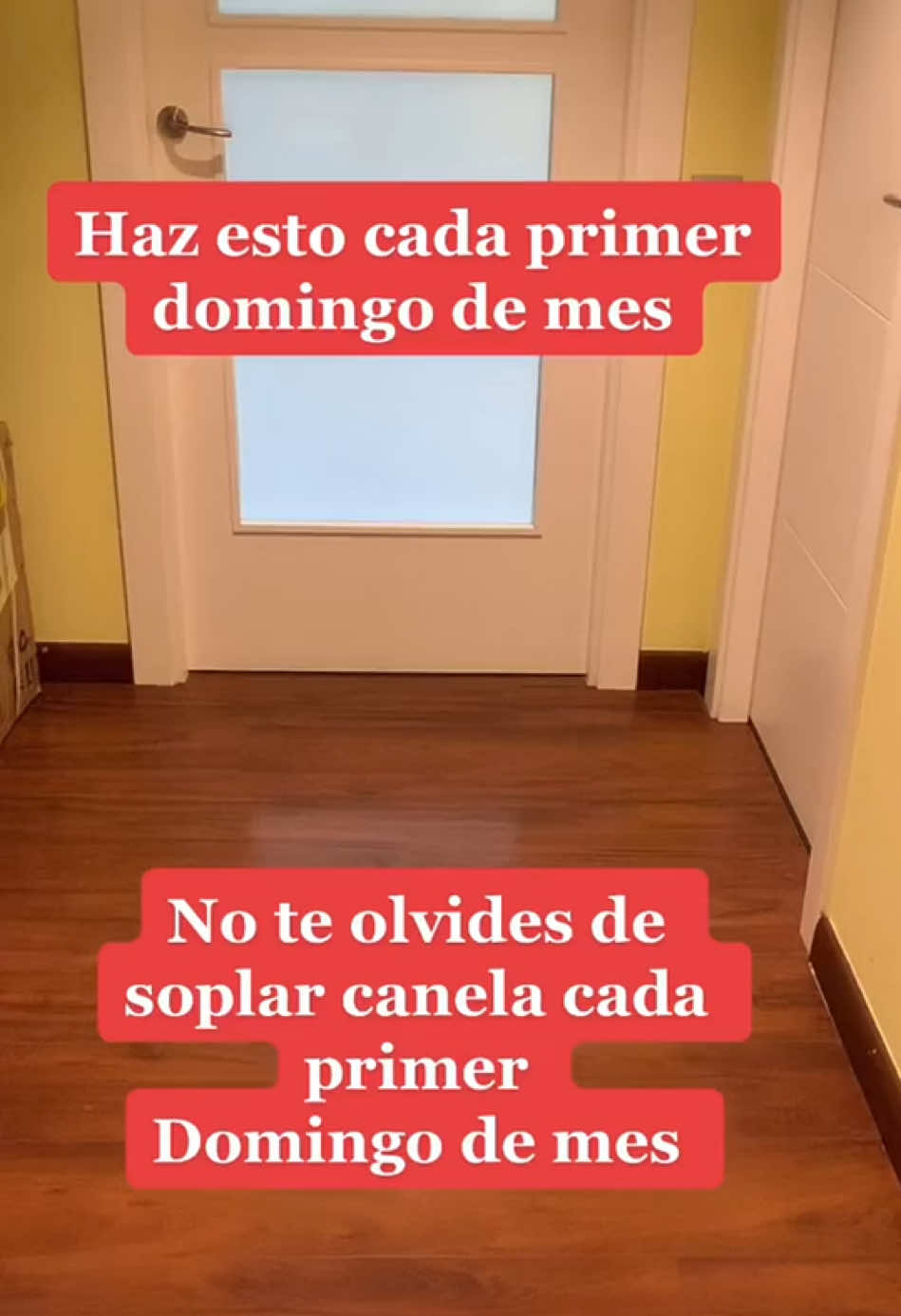@MAESTRO JEAN
