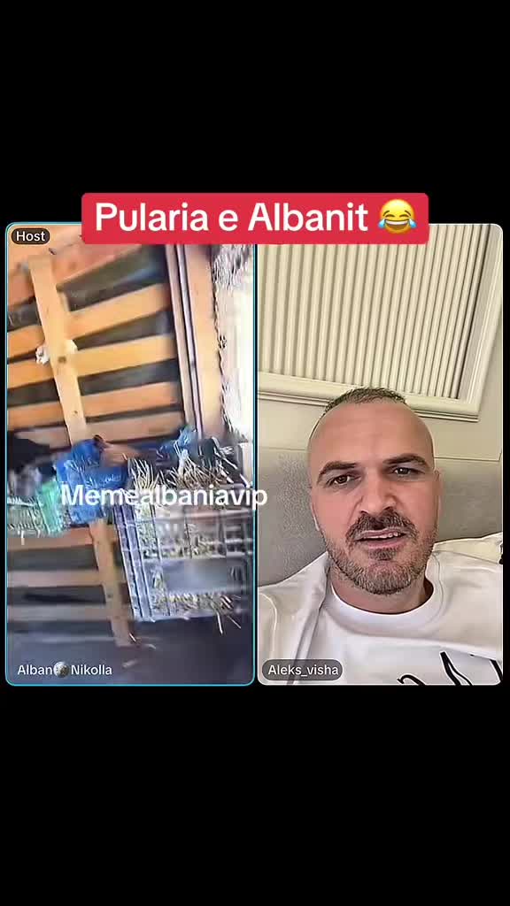 @MEME ALBANIA VIP