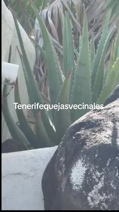 @Tenerifequejasvecinales
