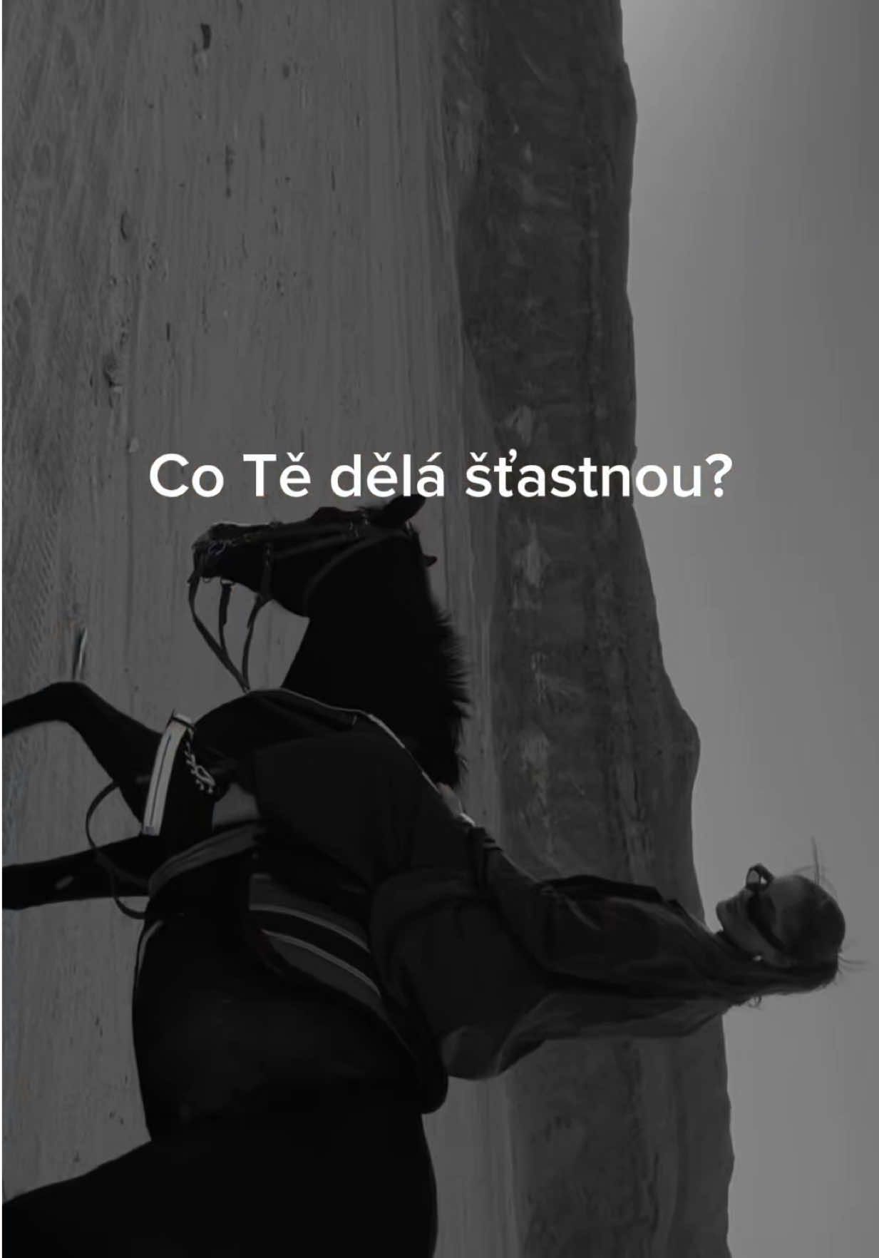 @Stella Tesaříková